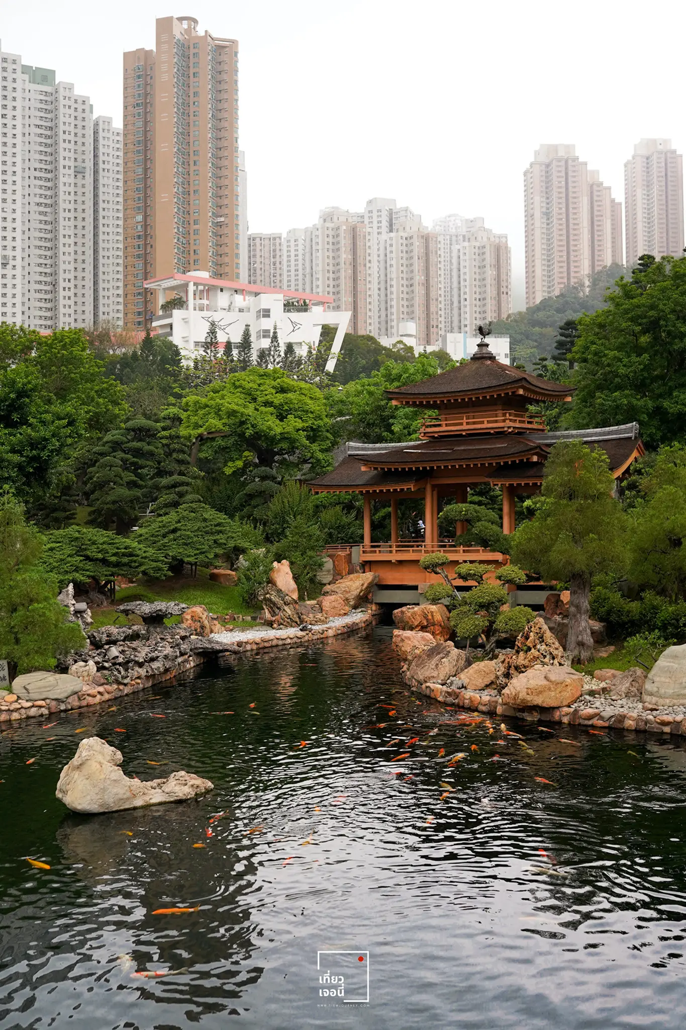 carp pond and little pavilion with city view in the background