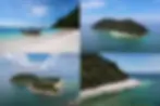 ree