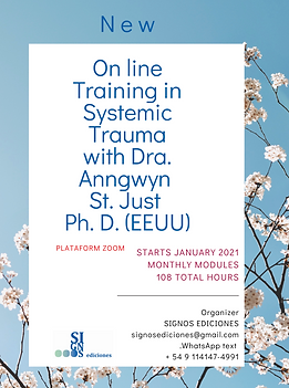 Online Training Systemic Trauma Work.png