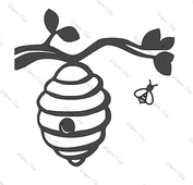Hive