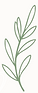 decoratief