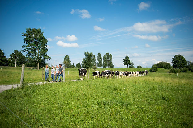 Choiniere_VT_06-13_0618.jpg