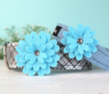Sky Blue | attachment