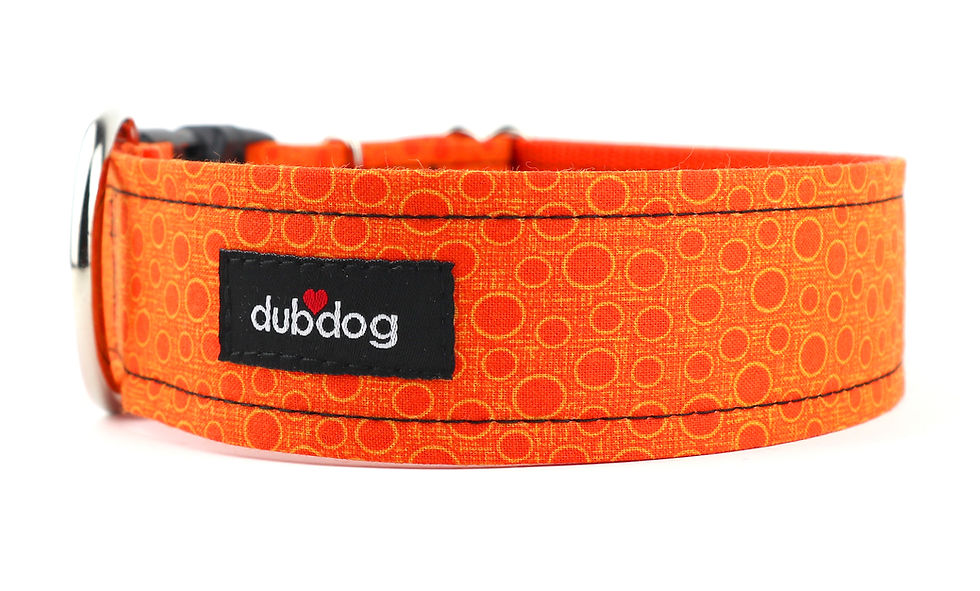 Collars dubdog 3/4