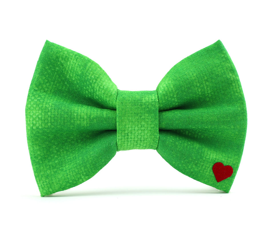 Envy bow tie