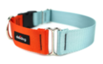 Pumpkin and Ocean | dog collar