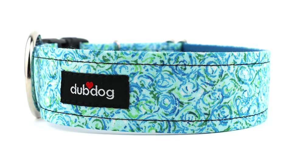 Collars dubdog 2/5