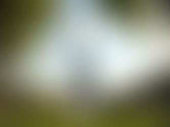 Discover the Top Destinations Worldwide for Your Next Adventure