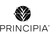 images (1).png