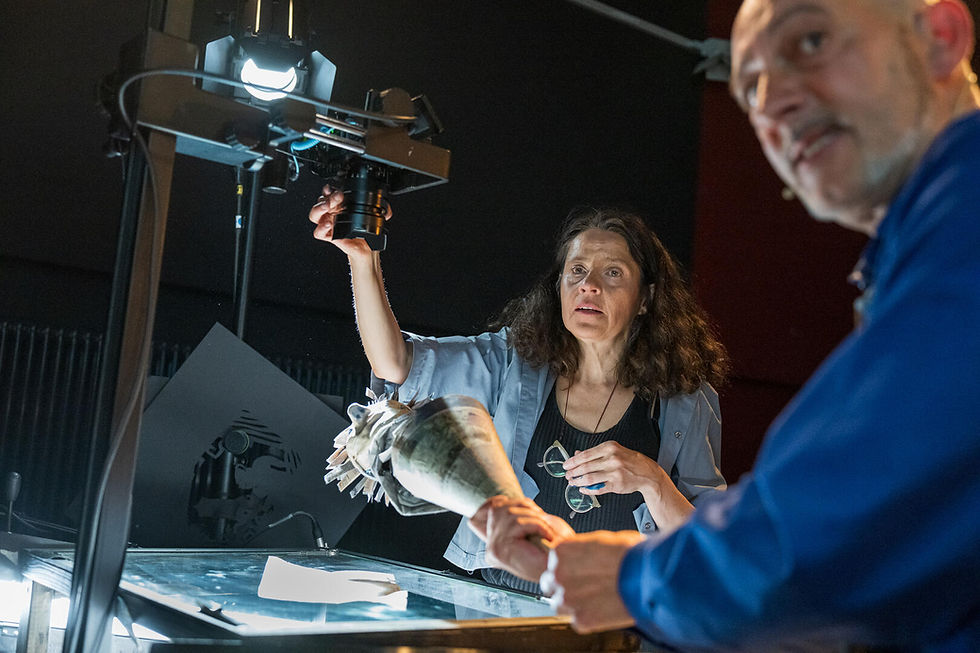 24FRAMES / SEC - ein Kino, dass live gespielt wird