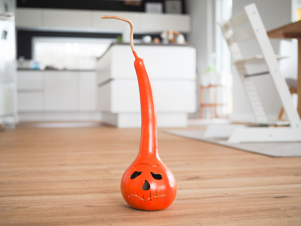 Spalieranbau von Kalebassen in der Kalebassenmanufaktur