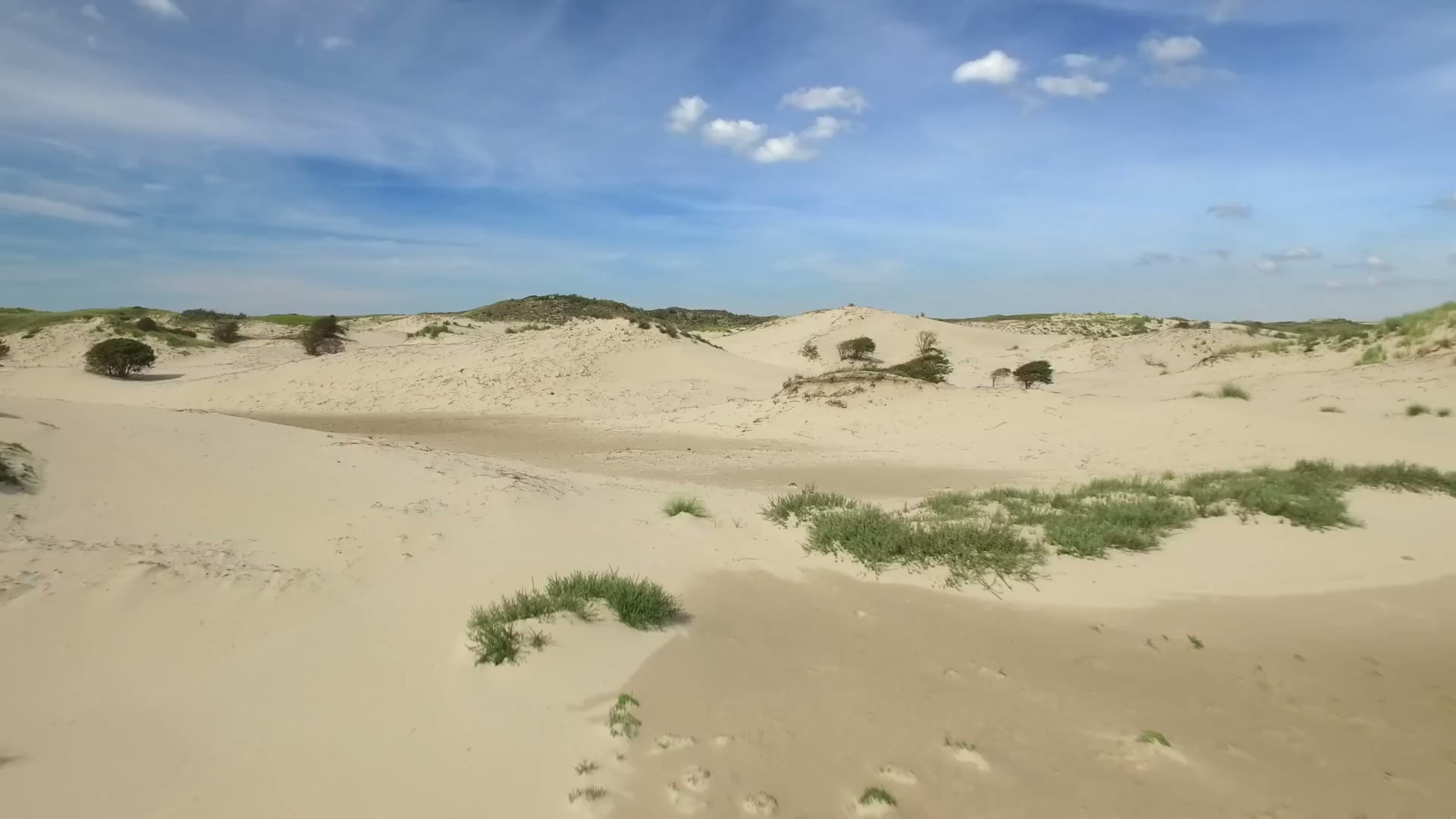 Ihr Ferienhaus. Ihre Küste. Ihr Zeeland.