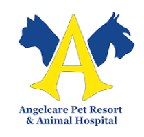 Angelcare animal hopsital