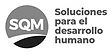 Logo SQM Salar Atacama cliente georadar