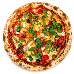 Forni Pizza