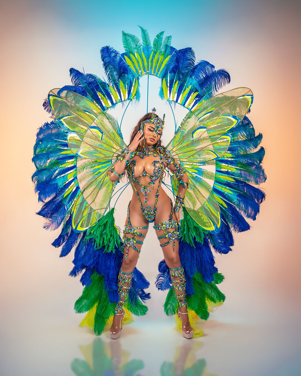 🇺🇸 US | Miami Carnival
