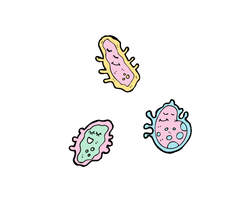 FF Design Bacteria GIF.gif
