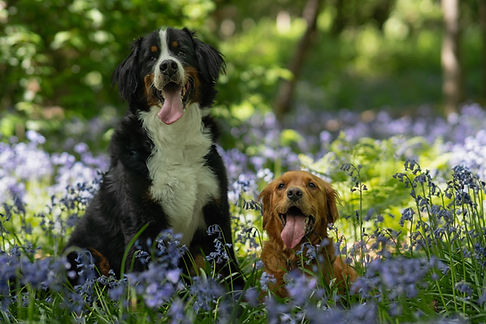 Maple & Charlie-04.jpg