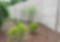 Screenshot 2024-07-25 at 12.01.54 PM.png