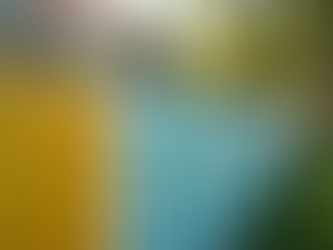 Enhancing Home Value: The Impact of a New Fence on Curb Appeal and Equity