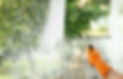 streak free window cleaning_edited.jpg