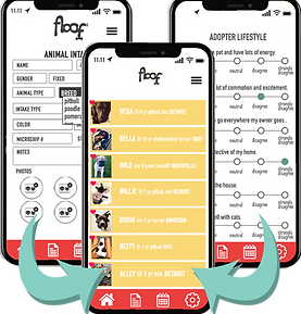 triple phone matches mock up  green arrow copy.png