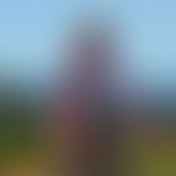 María Luisa Calle: la ciclista que convirtió la pista en oro y justicia