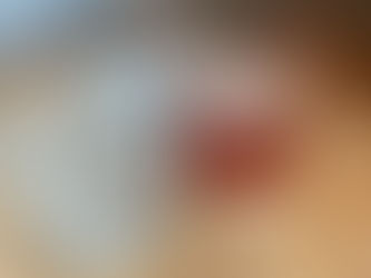 Dog & Pony News: 8.25.2026