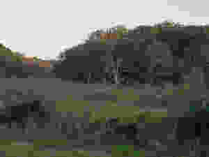 Resized_20180903_185652_7497001