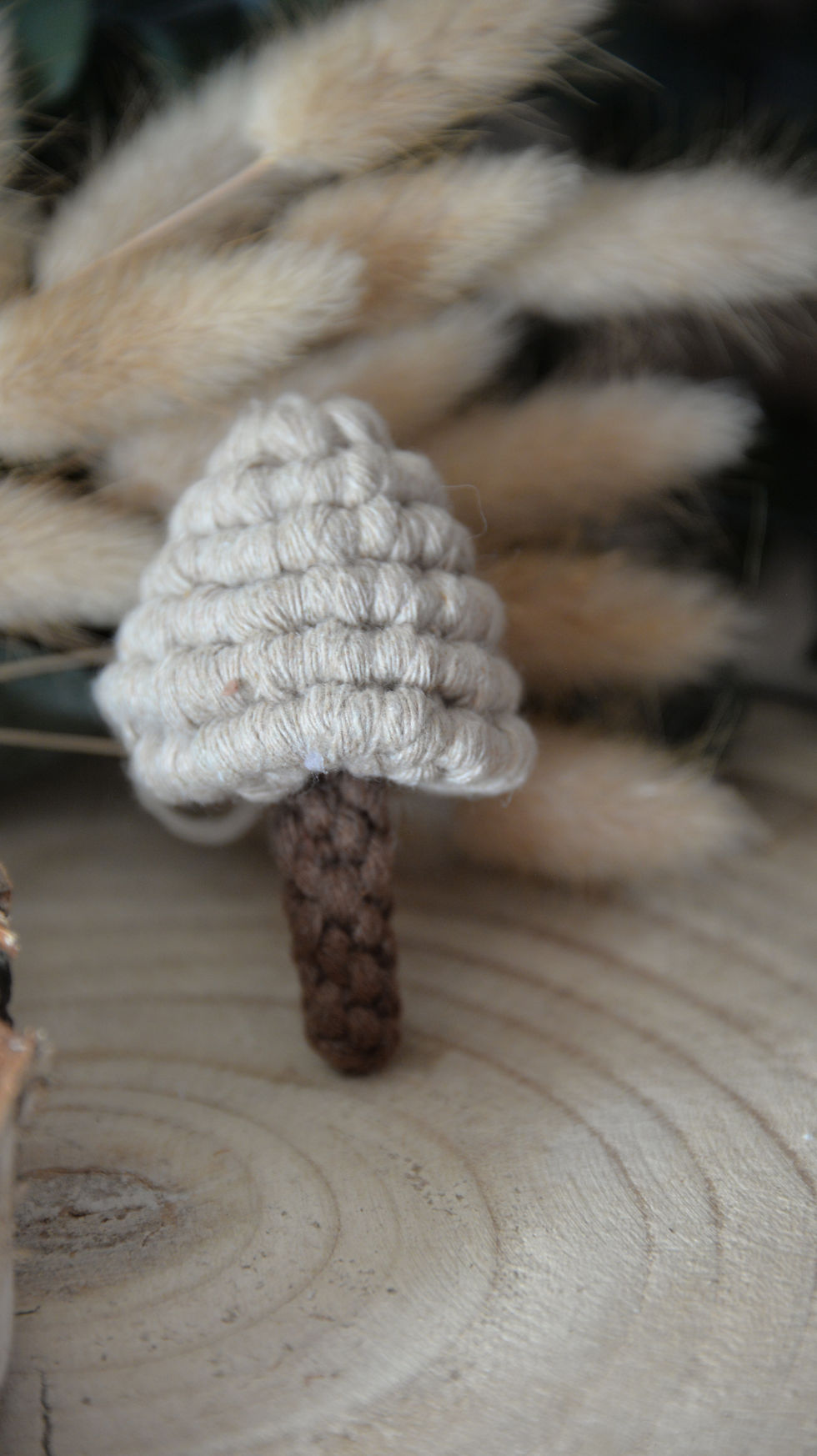 Miniature : CHAMPIGNON
