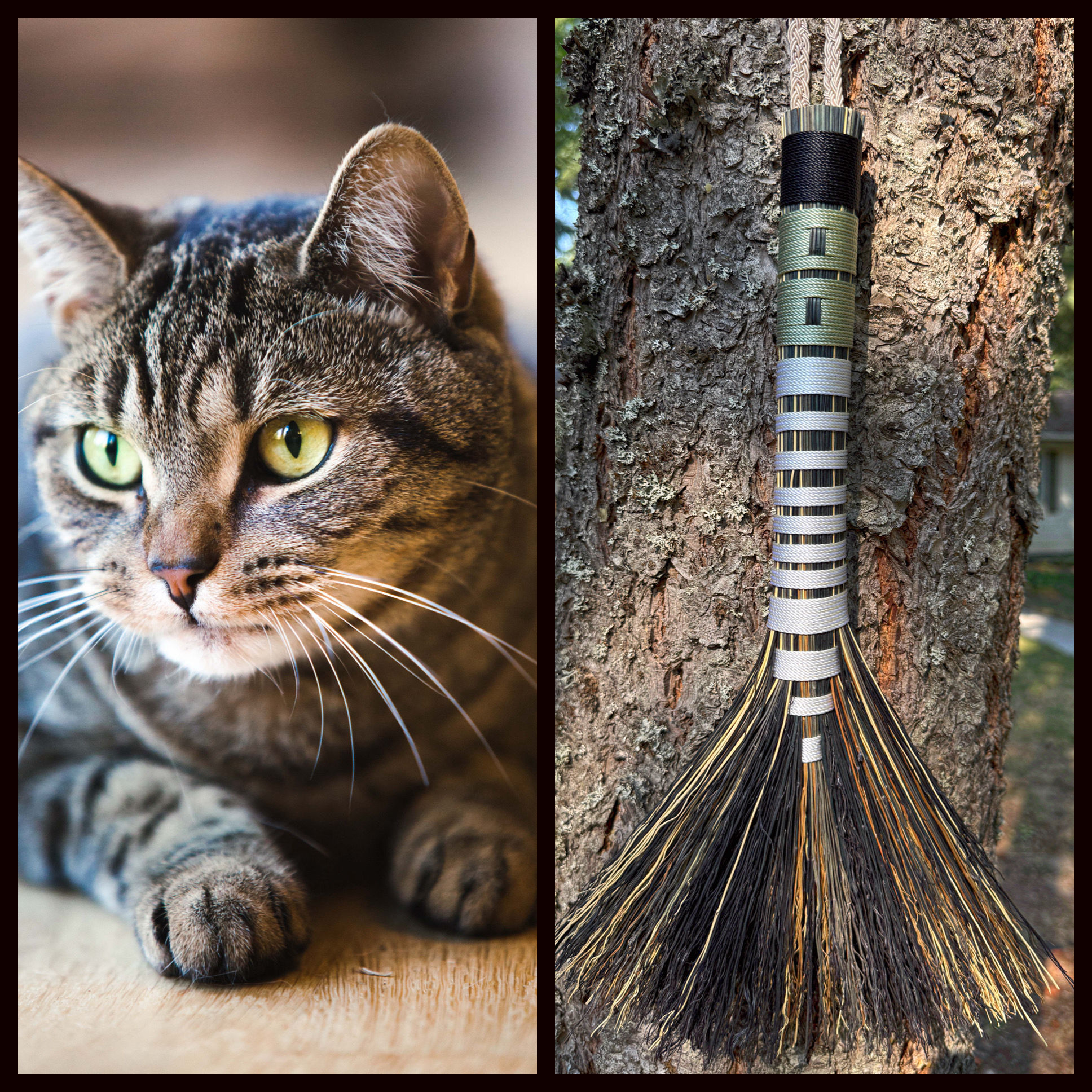 Furry Familiar Hawk-tail Whisk
