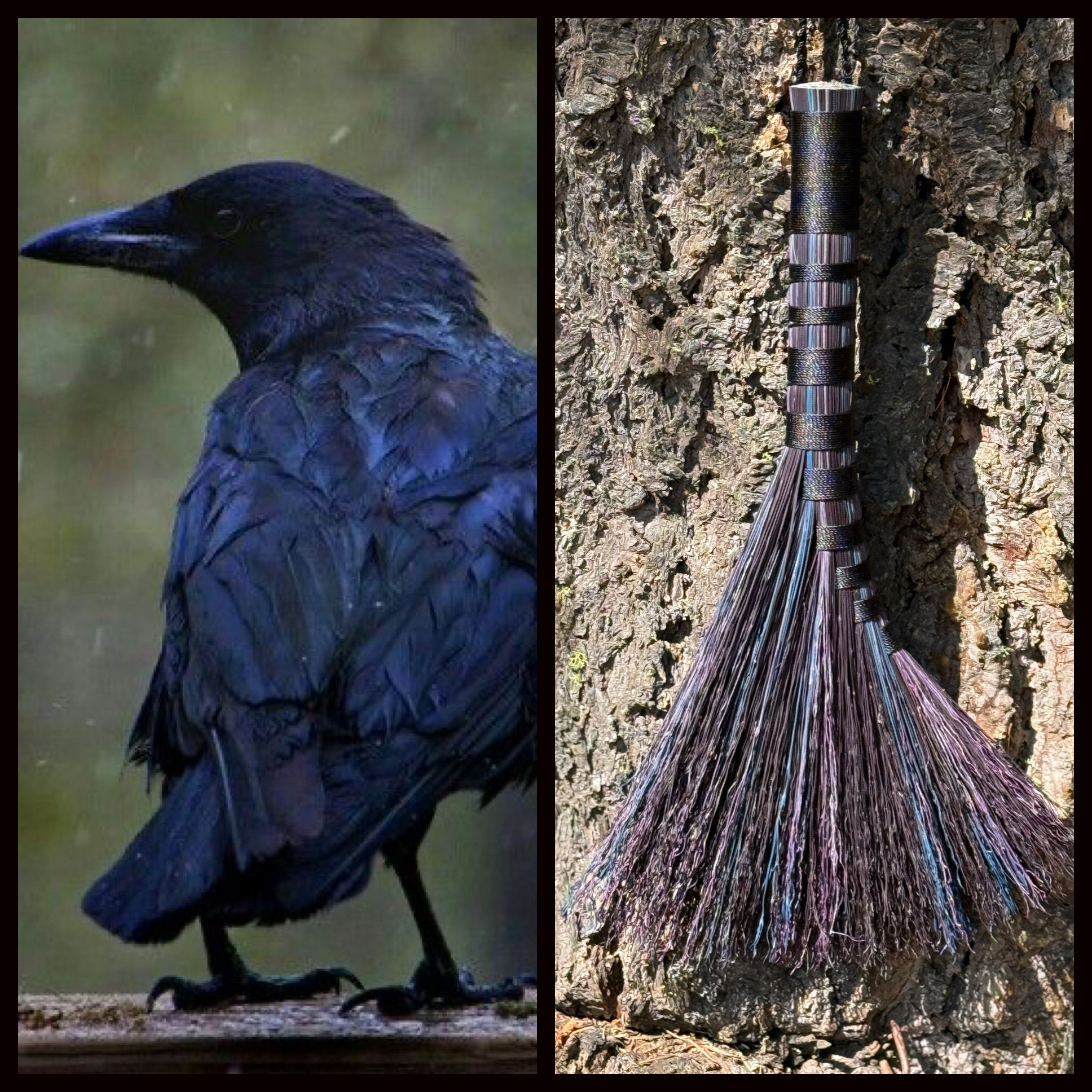 Pre order: Raven Turkey Wing Whisk