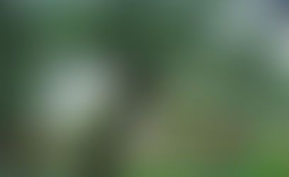 Дома, в которых мы жили.