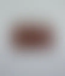 Quand tu peux emporter le coucher de soleil avec toi.