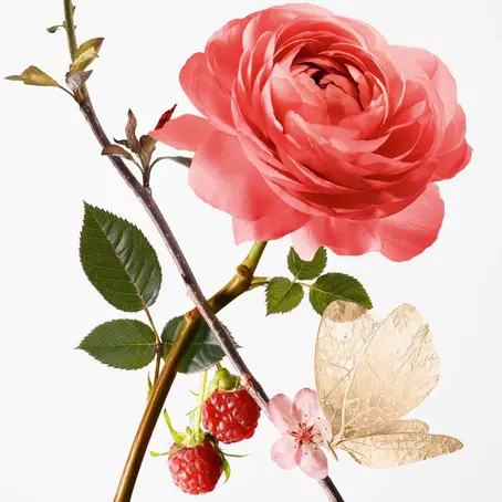 La vie en Rose