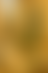 A stone alley in Lakones, Corfu, with a green door, terracotta pot of basil, and a cup of coffee in the sun. A ginger cat walks along the quiet path.