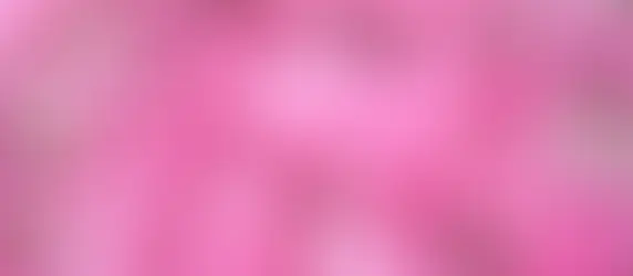 Болгарія в сезон троянд: подорож до долини аромату.