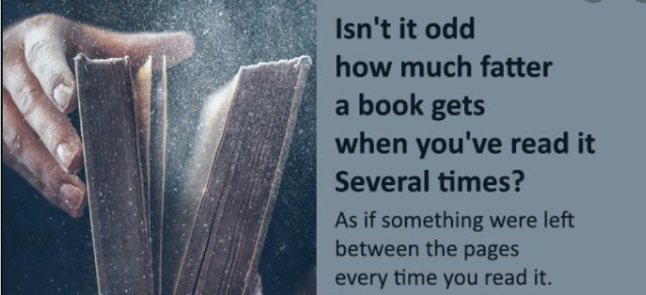 The Magic of Rereading