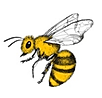 Picture3.png