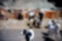 DSCF6015.JPG
