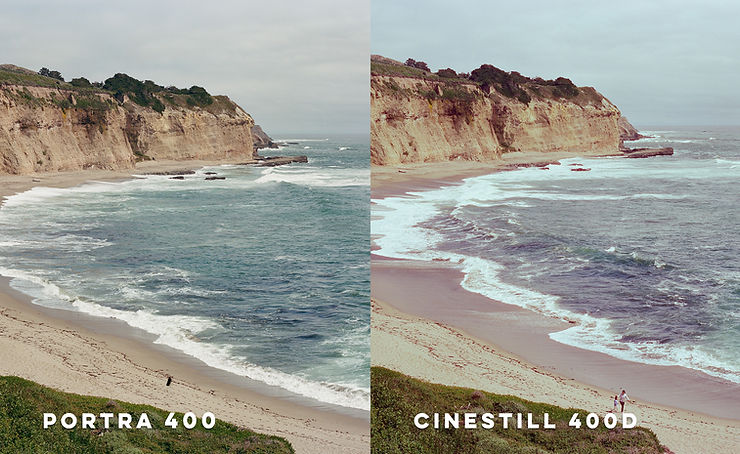 This landscape shot immediately shows how Portra 400 renders colors more true to life and the Cinestill is more stylized. We were surprised with just how much additional cyan it has in the highlights and the stronger reds in the midtones and shadows.