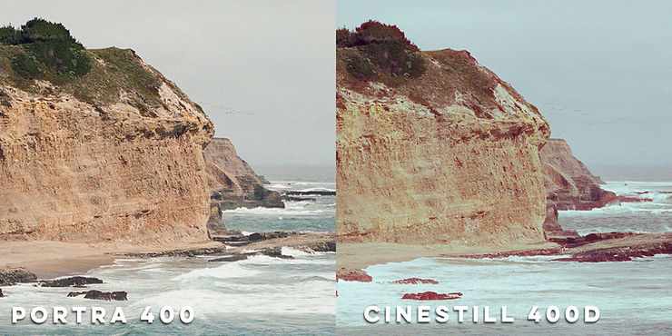In this closer detail crop you can see that the detail capture and grain is pretty similar between both films.