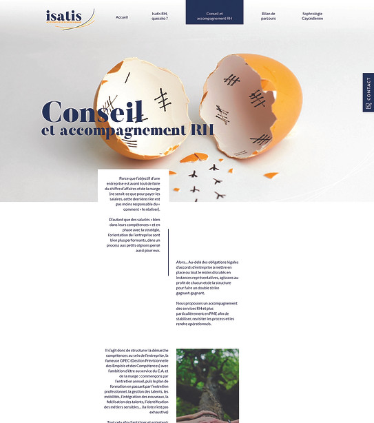 2 - conseil et accompagnement.jpg