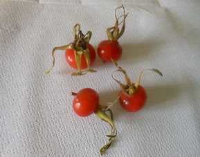 DSCN8698.JPG