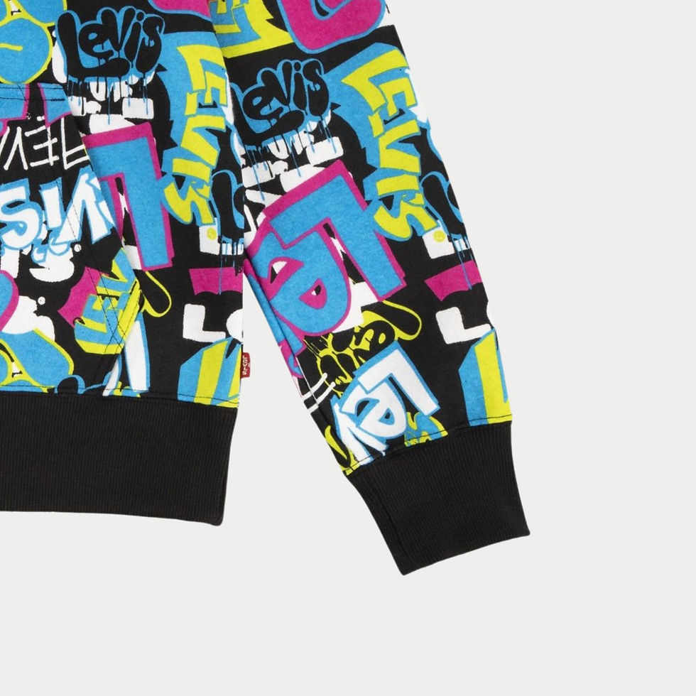 Thumbnail: Big Boys Hoodies