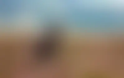 Easter in Exmoor National Park