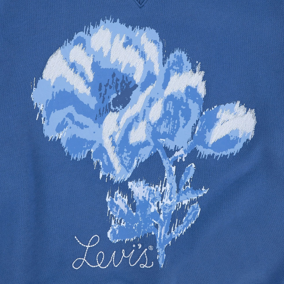 Thumbnail: Little Girls Coastal Collegiate Crew Sweatshirt