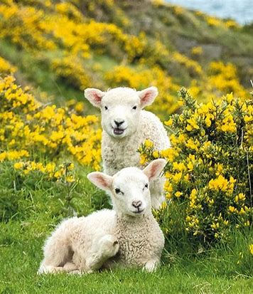 May Destination Ideas