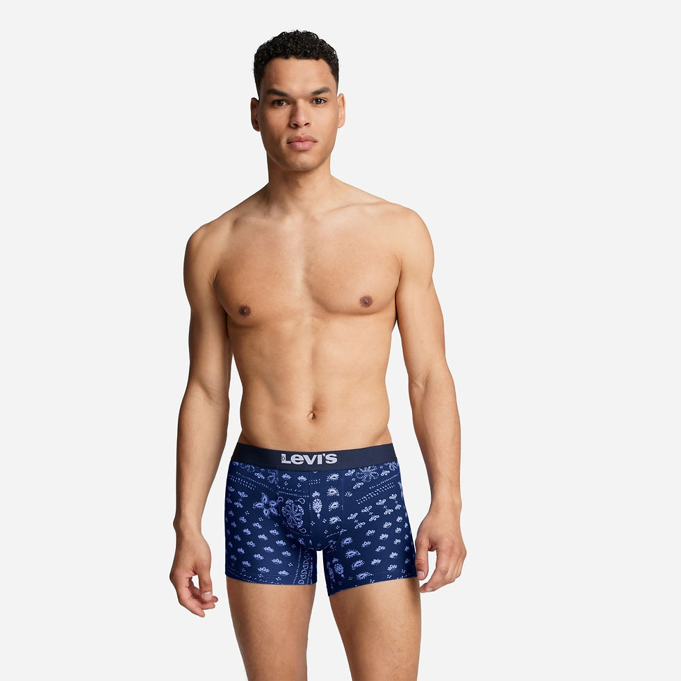 Thumbnail: Men's Bandana Boxer Brief 2PK