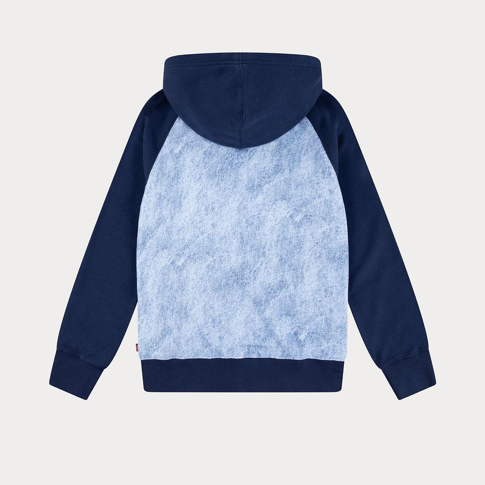 Thumbnail: Little Boys Contrast Zip Hoodie